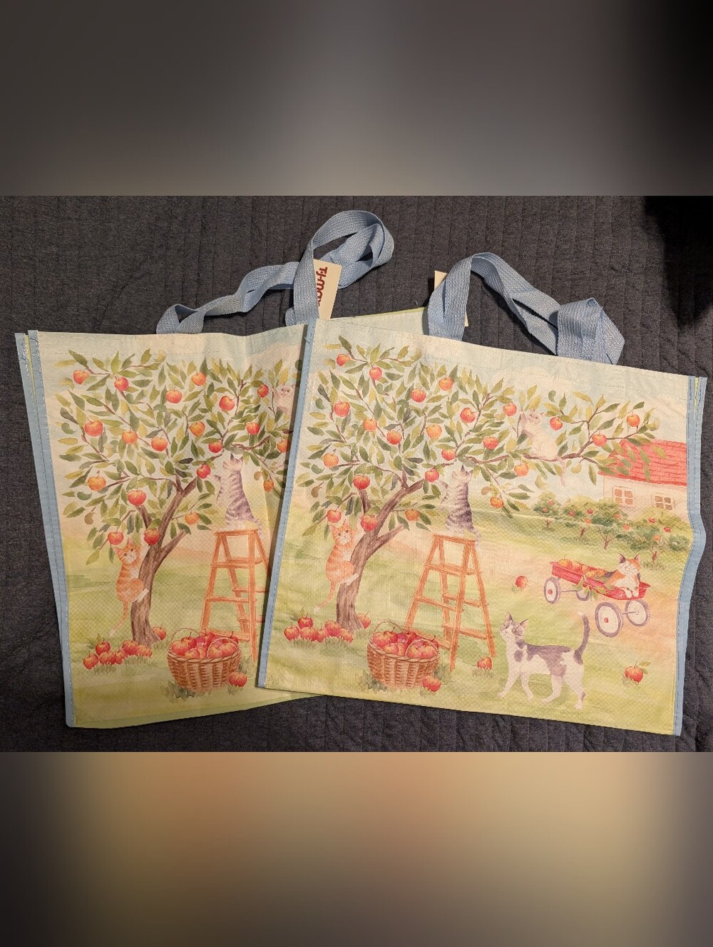 Cats Picking Apples TJ Maxx Tote Bags (2)